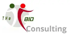 Bienvenue sur THeBID Consulting !